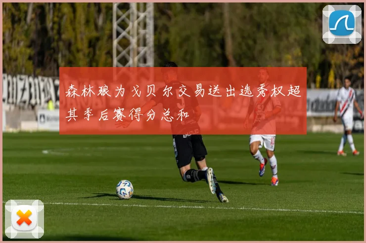 森林狼为戈贝尔交易送出选秀权超其季后赛得分总和