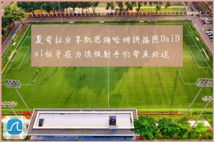 夏奇拉分享凯恩梅哈姆拼接图DaiDai似乎在为顶级射手们带来好运